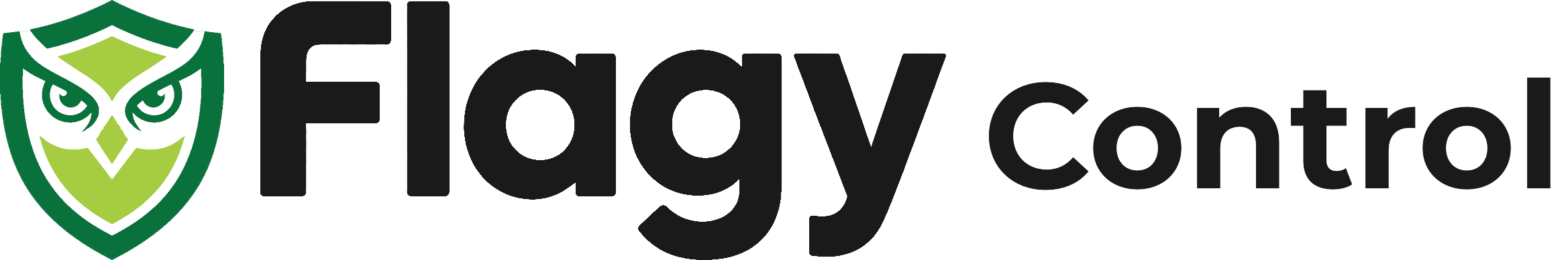 Flagy Control